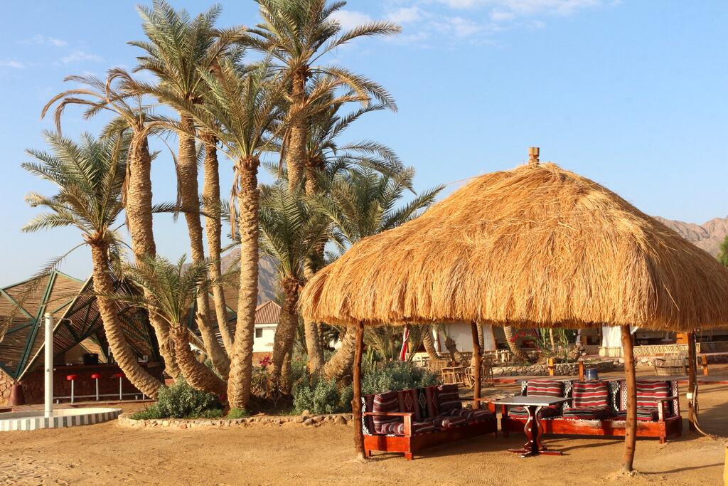 26Nuweiba Club